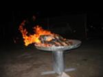 Il fuoco della sapienza