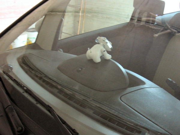 L e-dog visto dall esterno